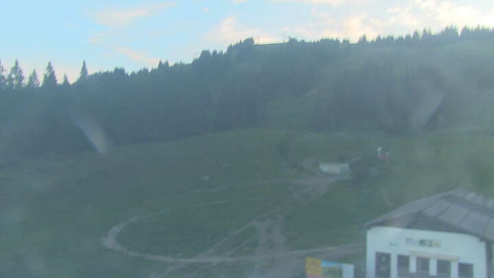 Webcam live 
