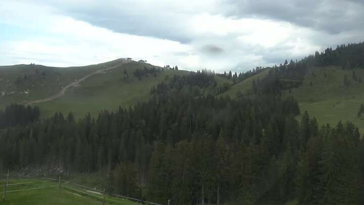 Webcam live 
