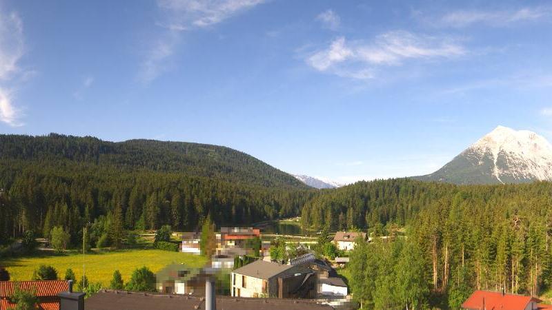 Webcam live 