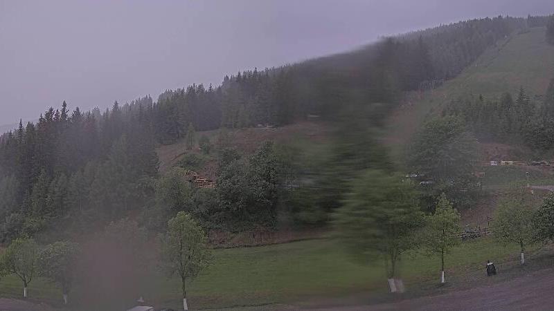 Webcam live 