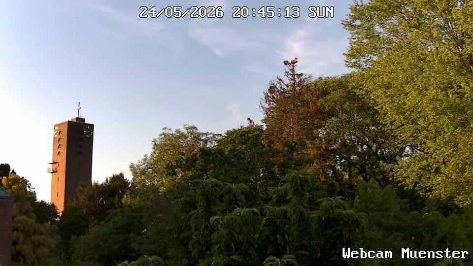 Webcam live 