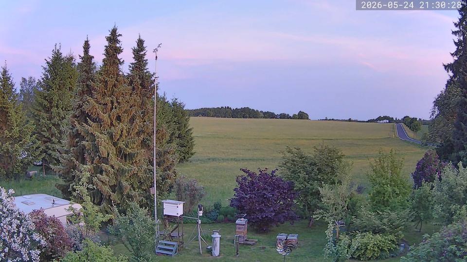 Webcam live 