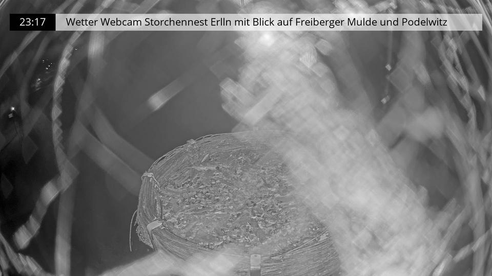 Webcam live 