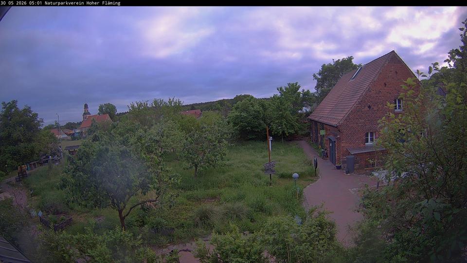 Webcam live 