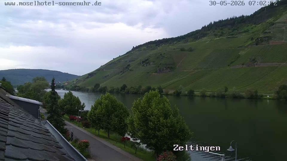 Webcam live 