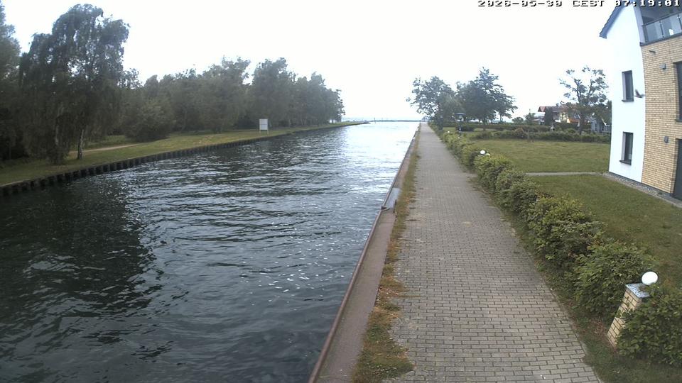 Webcam live 
