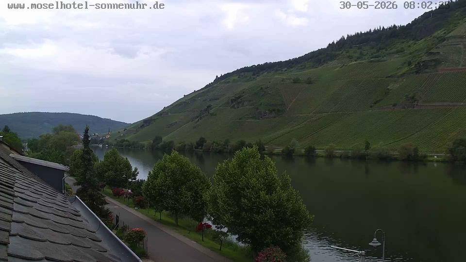 Webcam live 