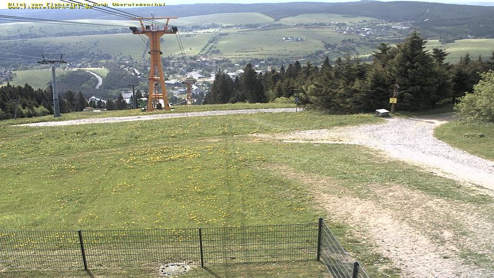 Webcam live 