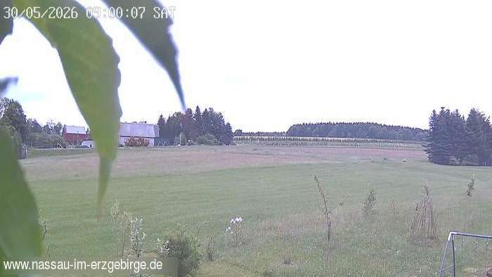 Webcam live 