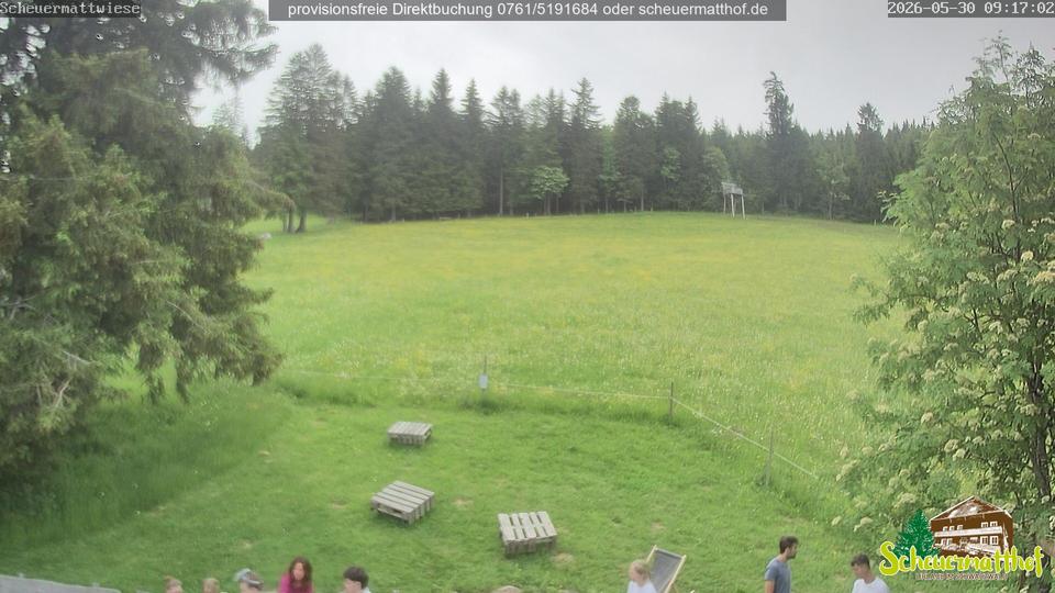 Webcam live 