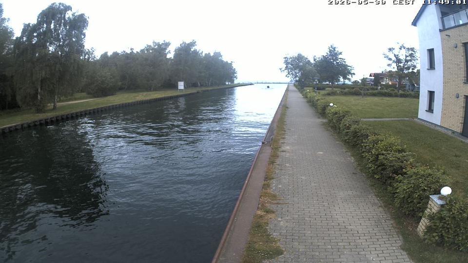 Webcam live 