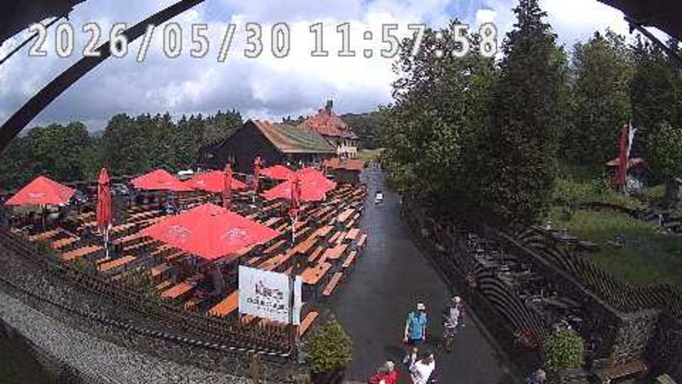 Webcam live 