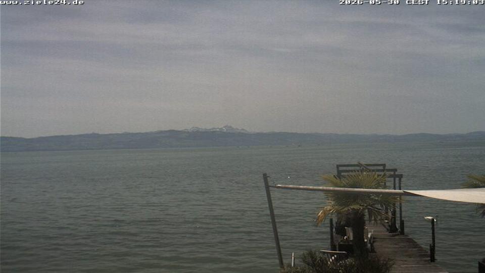 Webcam live 
