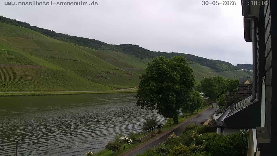 Webcam live 
