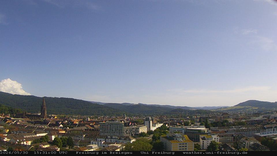 Webcam live 