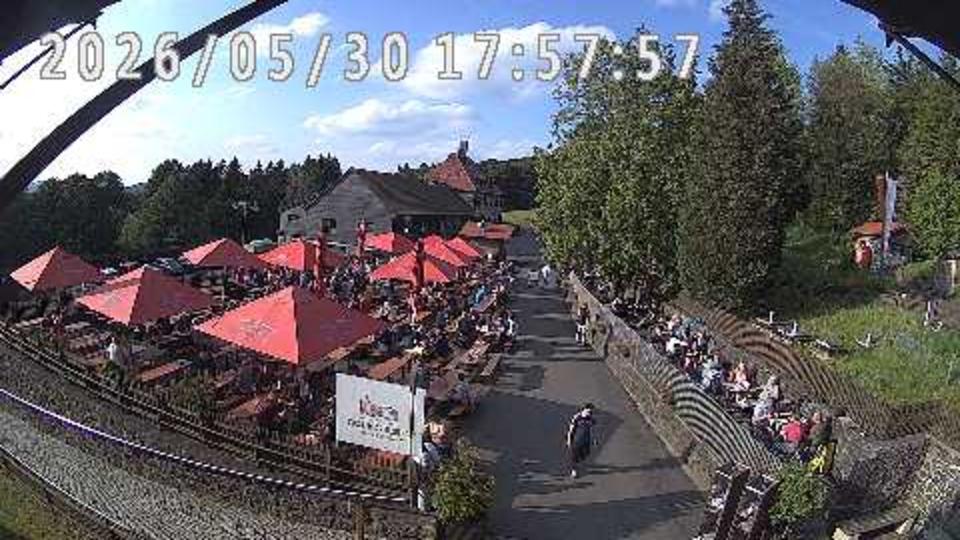 Webcam live 