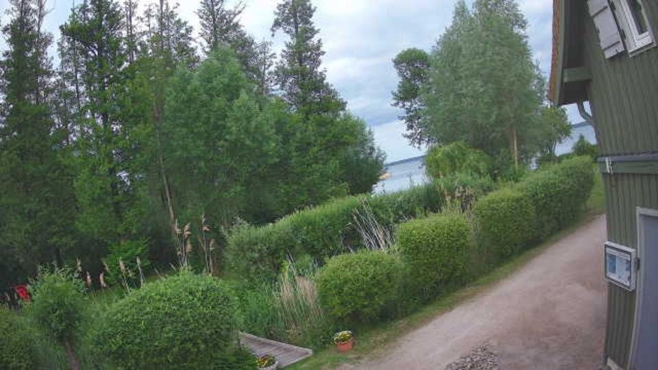 Webcam live 