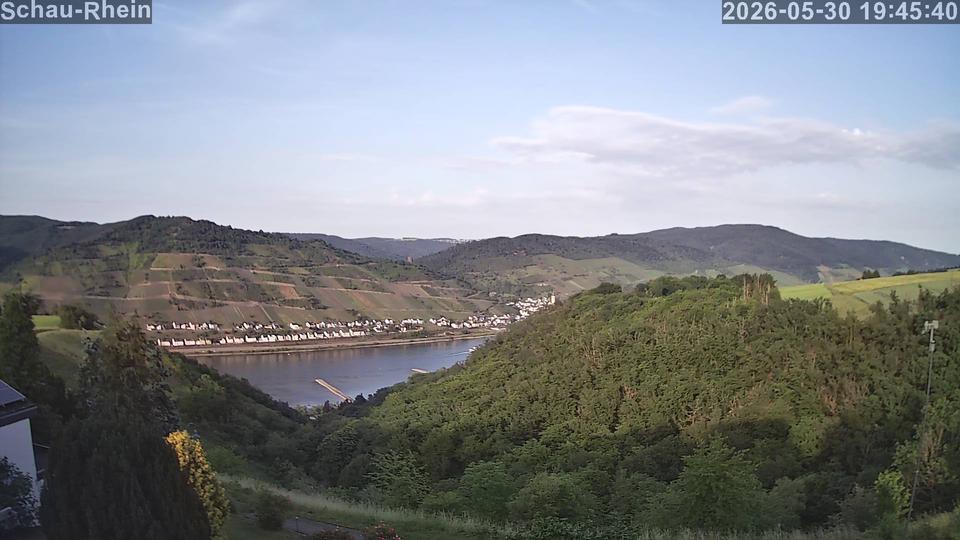 Webcam live 