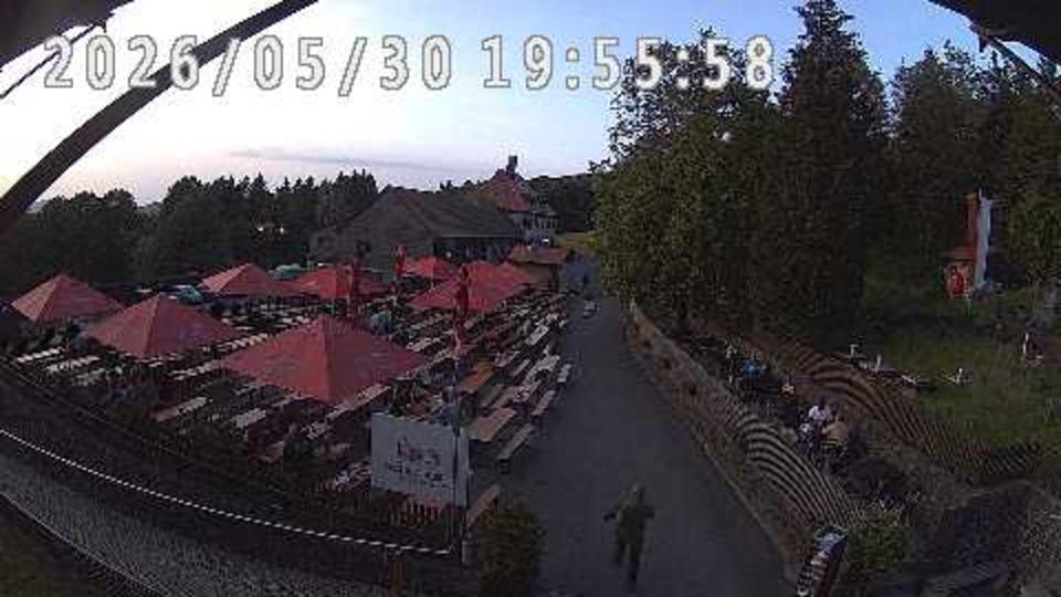 Webcam live 