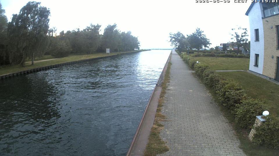 Webcam live 