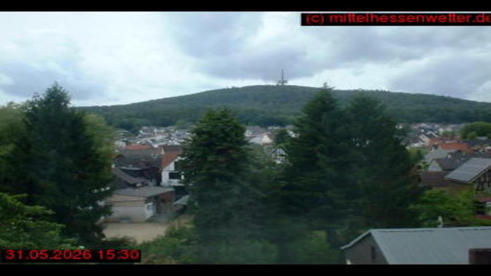 Webcam live 