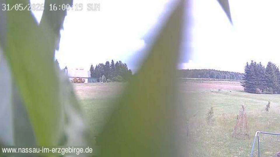 Webcam live 