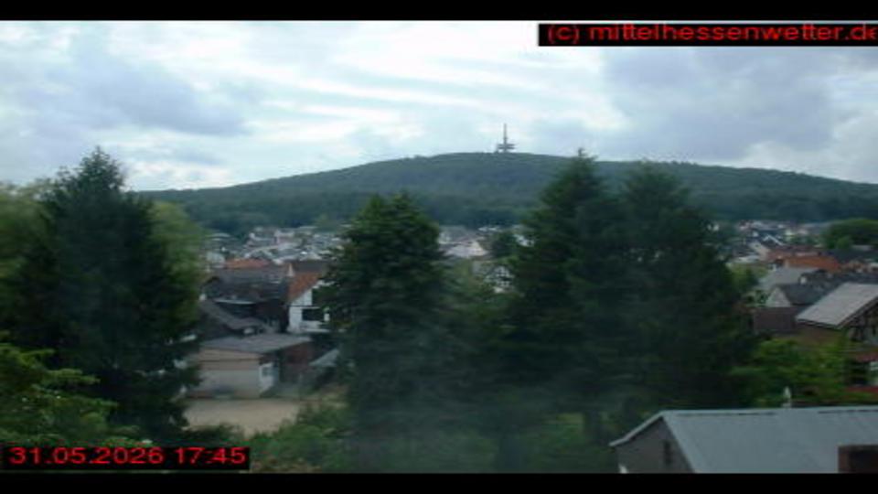 Webcam live 