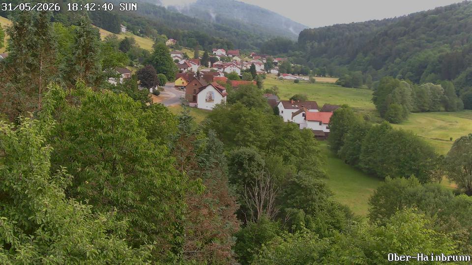 Webcam live 