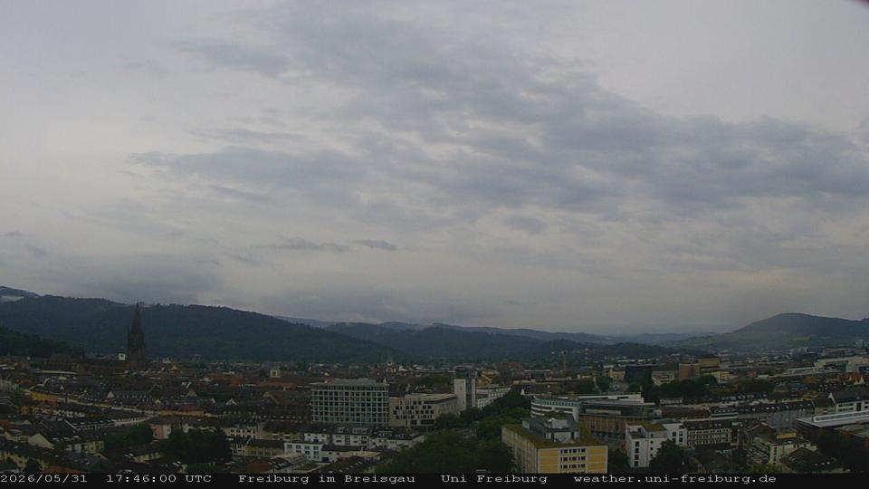 Webcam live 