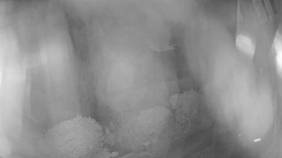 Webcam live 