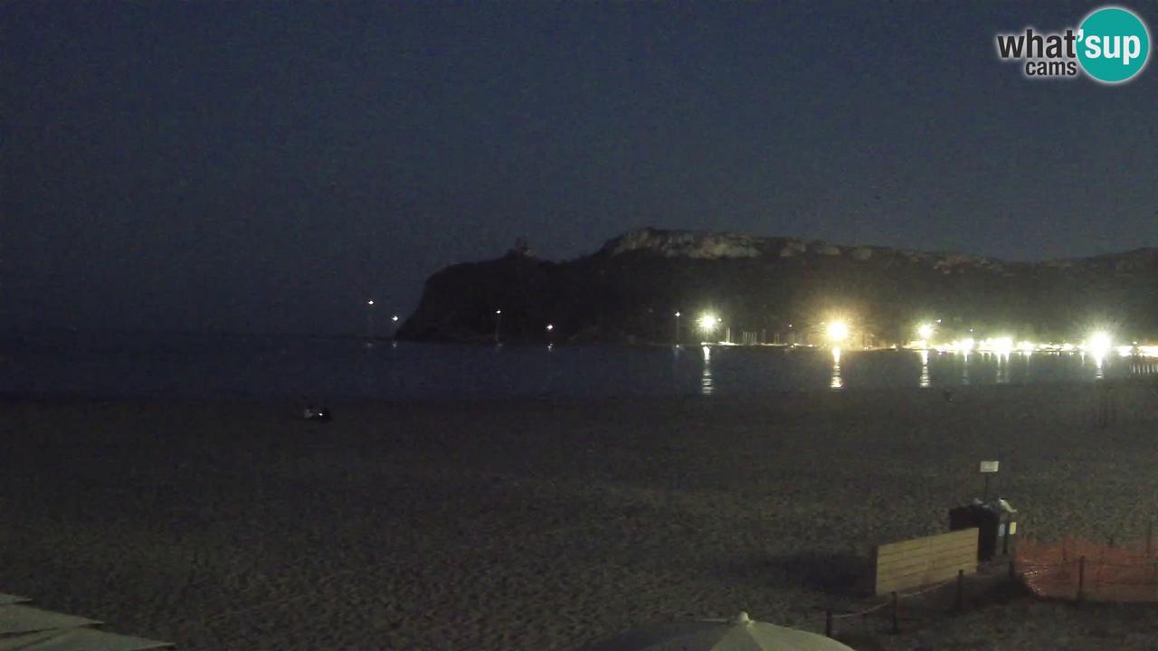 Webcam live 