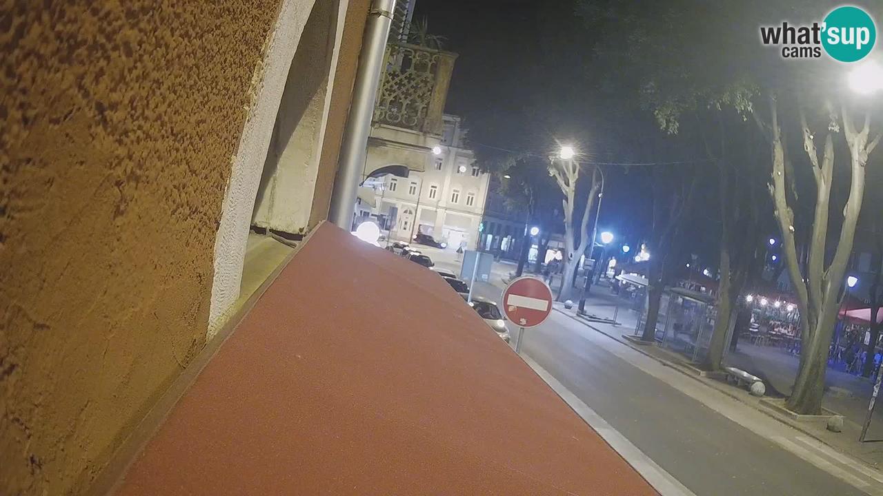 Webcam live 