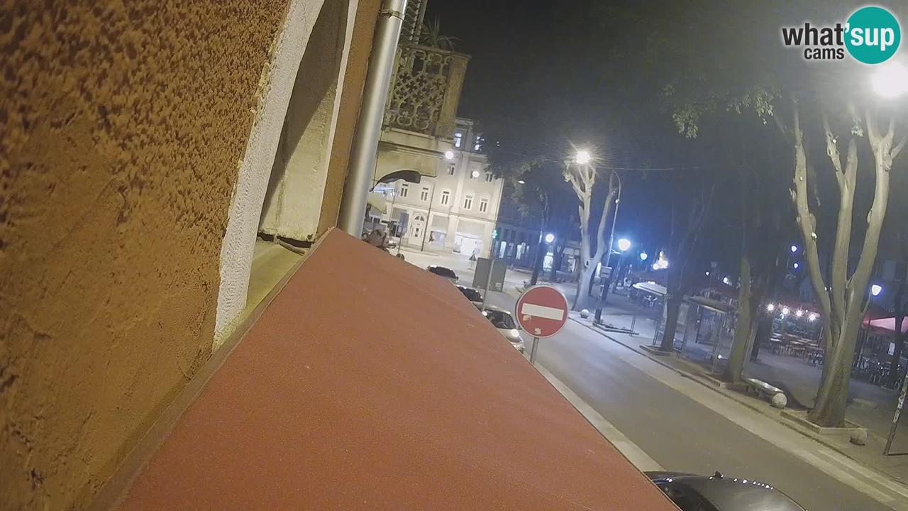 Webcam live 
