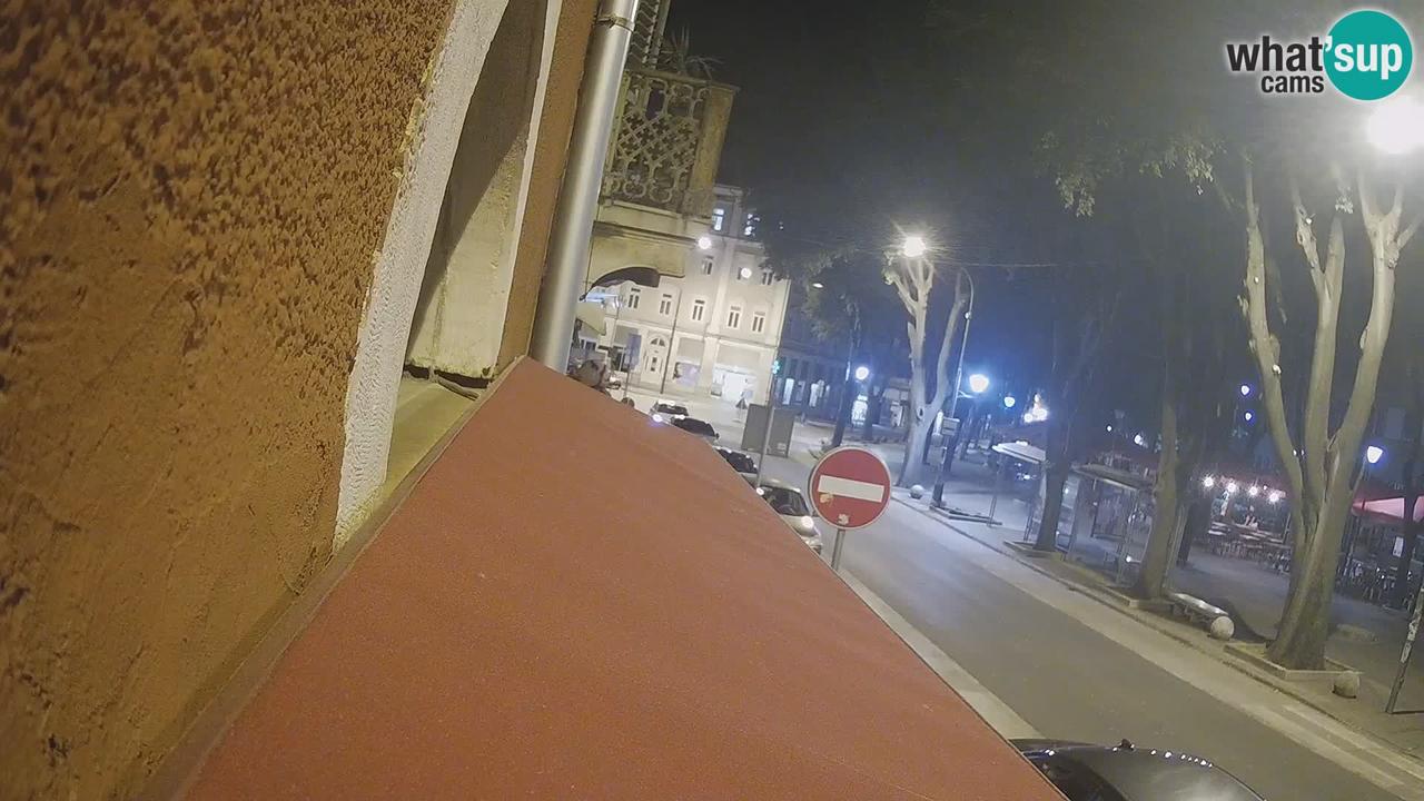 Webcam live 