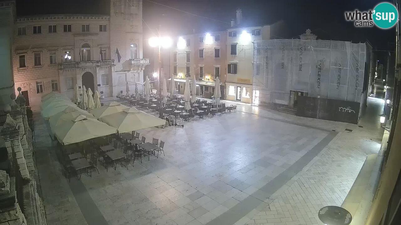 Webcam live 