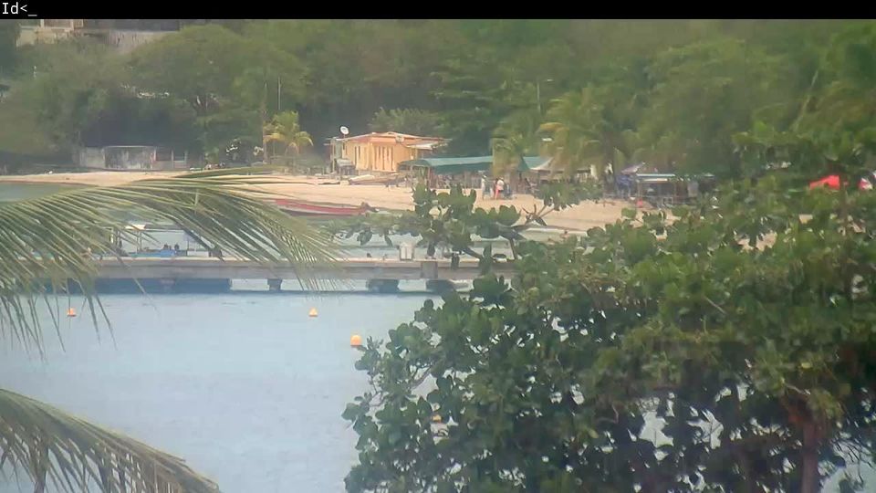 Webcam live 