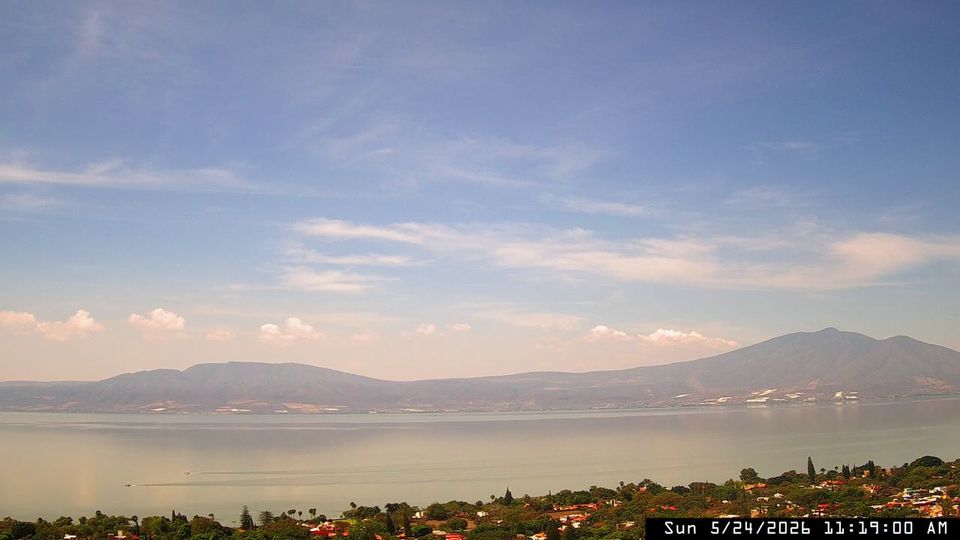 Webcam live 
