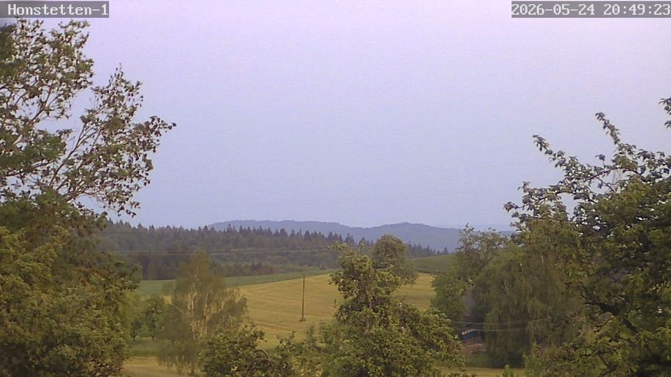 Webcam live 