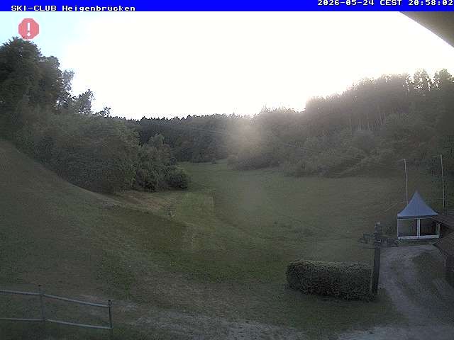 Webcam live 