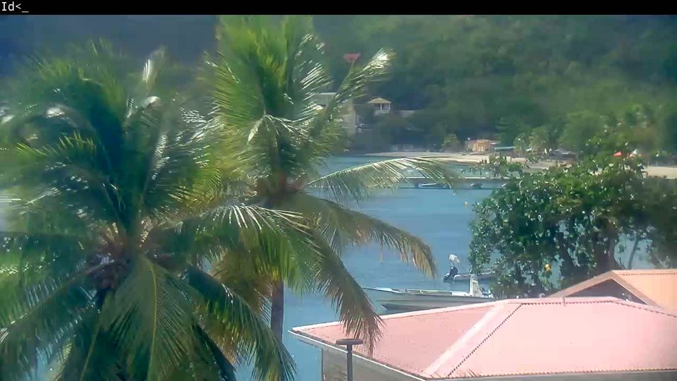 Webcam live 