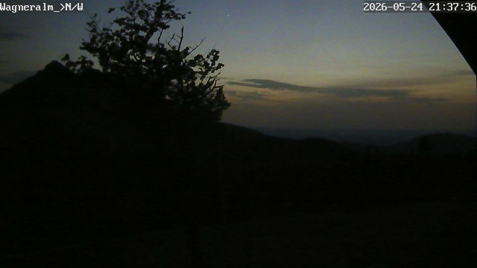 Webcam live 