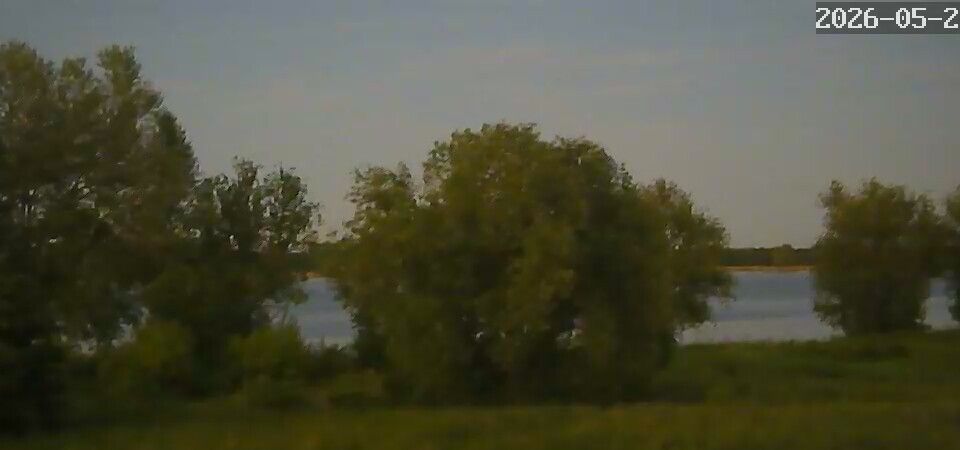 Webcam live 
