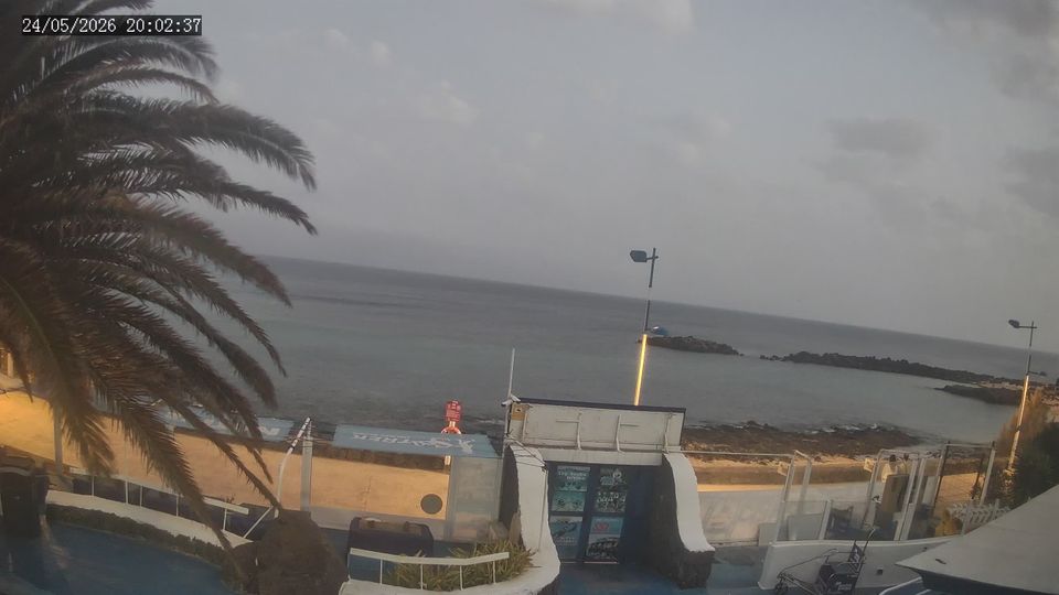 Webcam live 