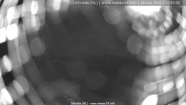 Webcam live 