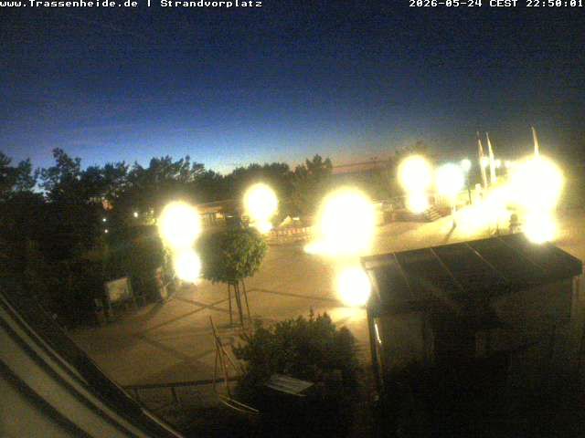 Webcam live 
