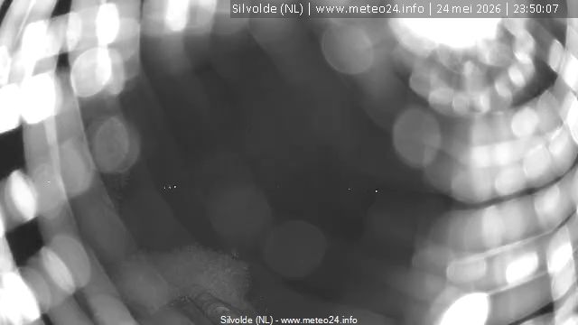 Webcam live 