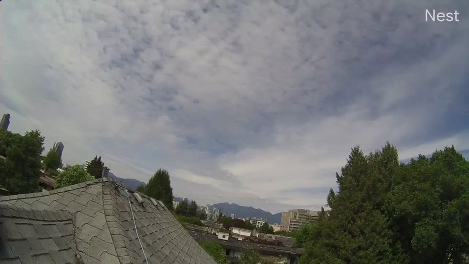 Webcam live 
