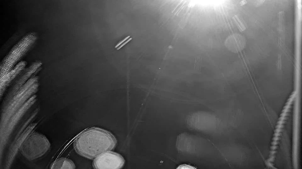 Webcam live 
