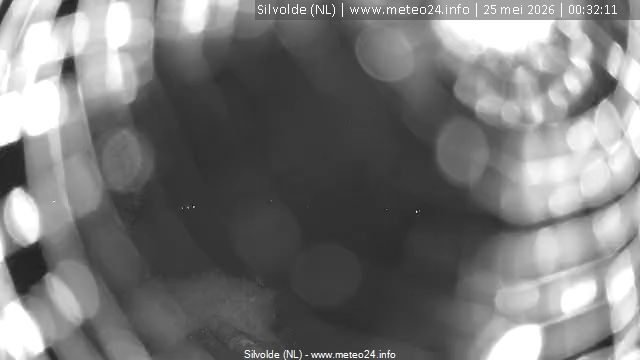 Webcam live 