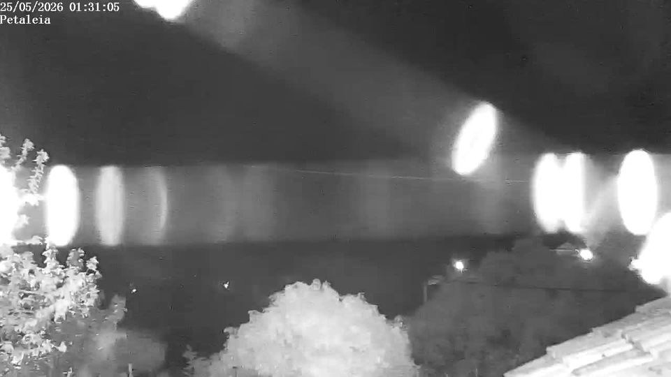 Webcam live 